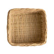 Fan Palm Catch All - 11