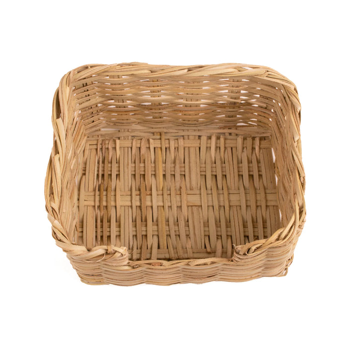 Fan Palm Catch All - 8