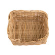 Fan Palm Catch All - 8