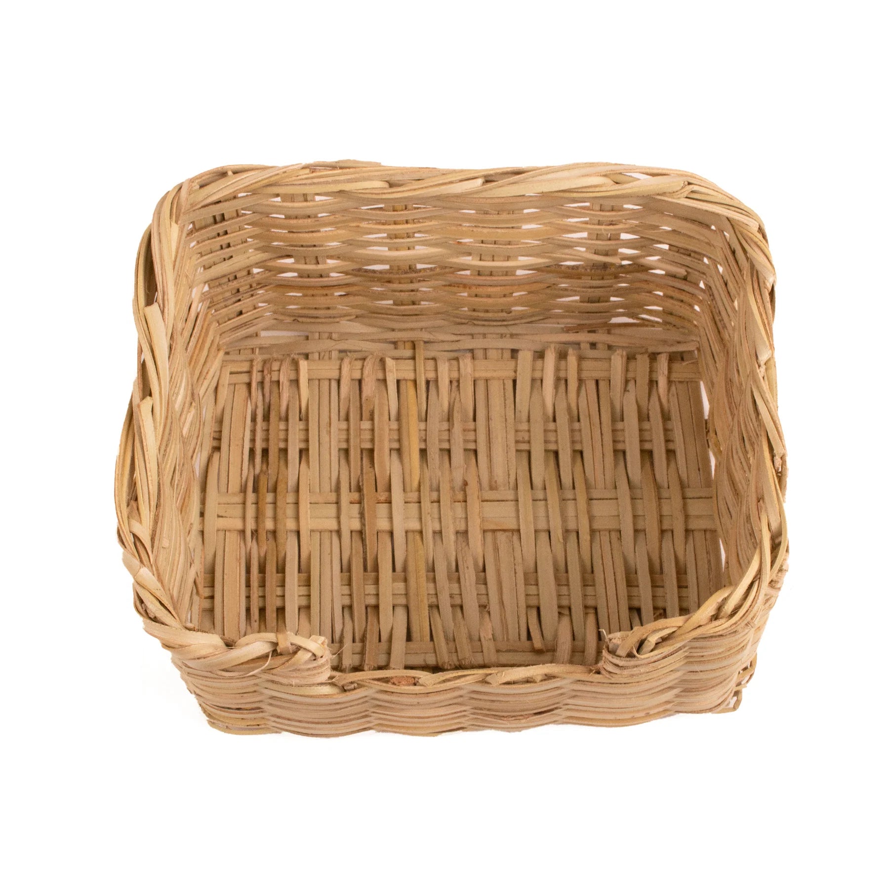 Fan Palm Catch All - 8