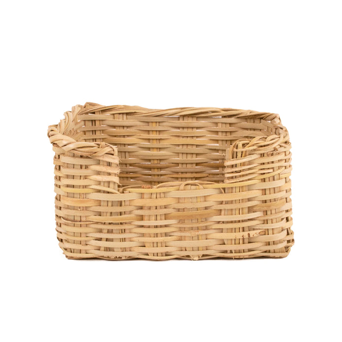 Fan Palm Catch All - 8