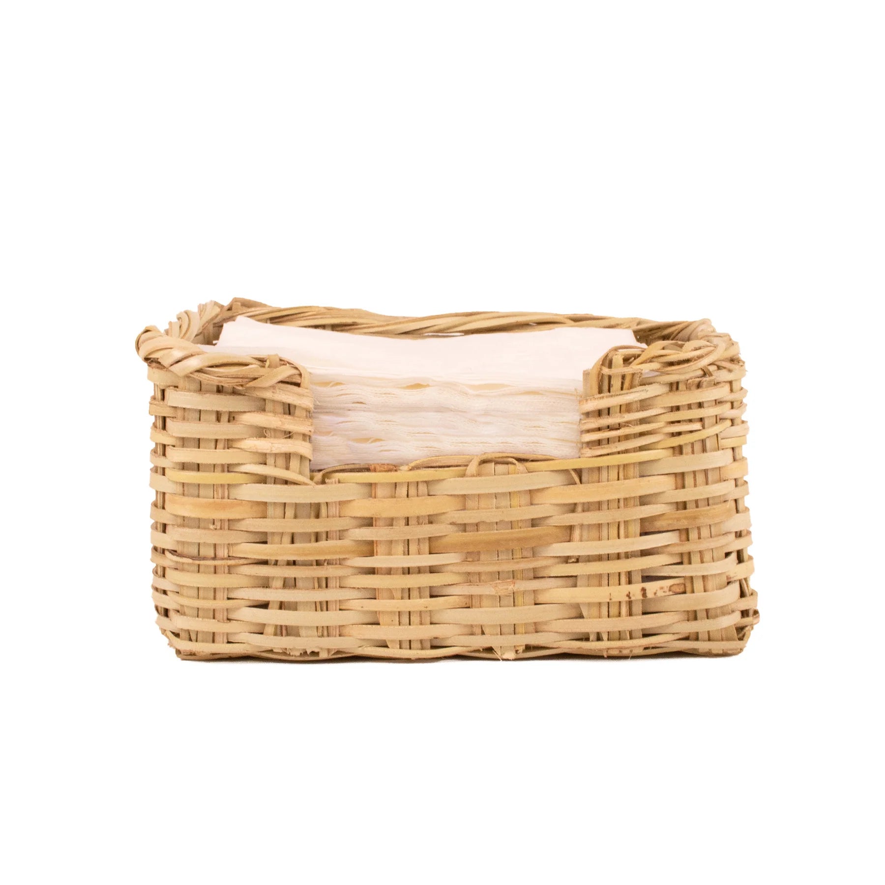 Fan Palm Catch All - 8