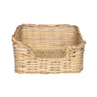 Fan Palm Catch All - 8