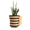 Modern Planter - 13.5