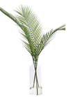 Palm Frond, Faux Watergarden