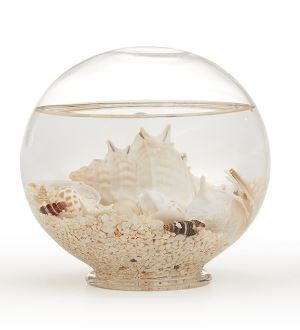 Decorative Filled Globes with Assorted Shells and Starfish