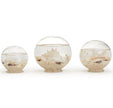 Decorative Filled Globes with Assorted Shells and Starfish