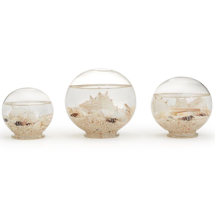 Decorative Filled Globes with Assorted Shells and Starfish