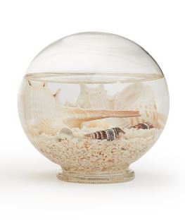 Decorative Filled Globes with Assorted Shells and Starfish