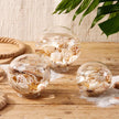 Decorative Filled Globes with Assorted Shells and Starfish