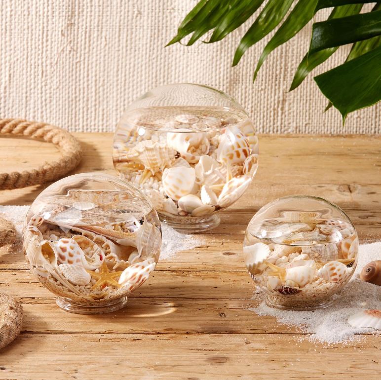 Decorative Filled Globes with Assorted Shells and Starfish