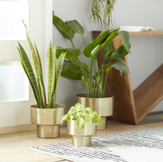 Gold Brushed Metal Indoor/Outdoor Planters