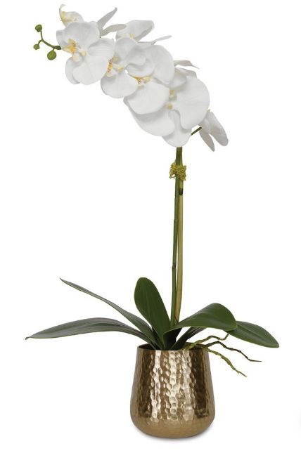 Cami Orchid - Brass