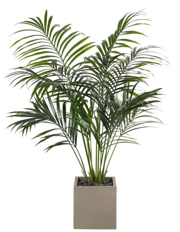 Kentia Faux Palm