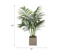 Kentia Faux Palm