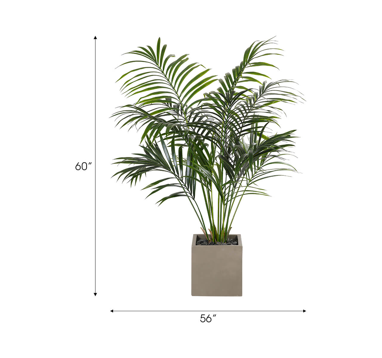 Kentia Faux Palm