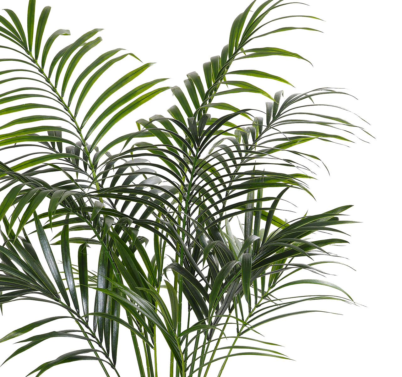 Kentia Faux Palm