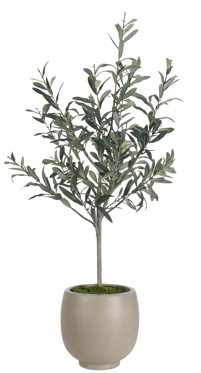 Olive Tree Faux Arrangement