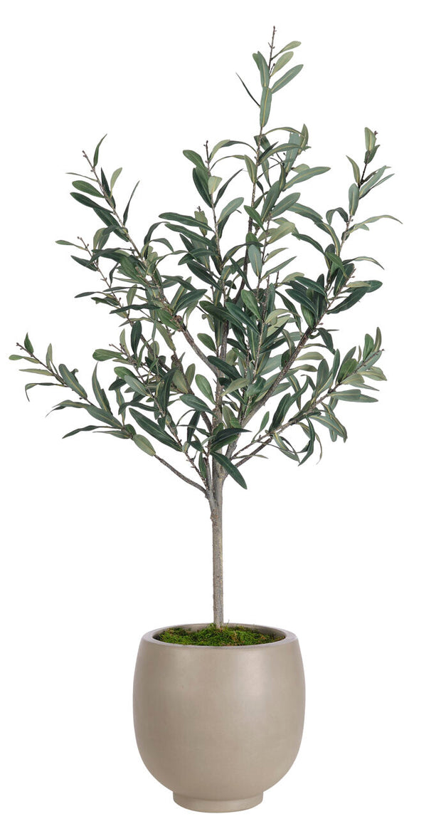 Olive Tree Faux Arrangement