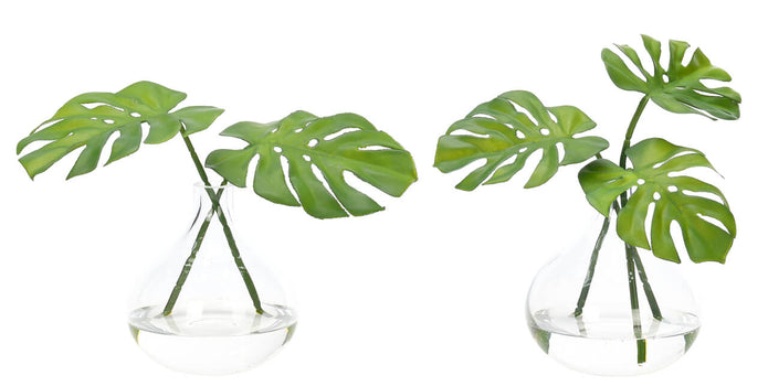 Selloum, Faux Watergarden
