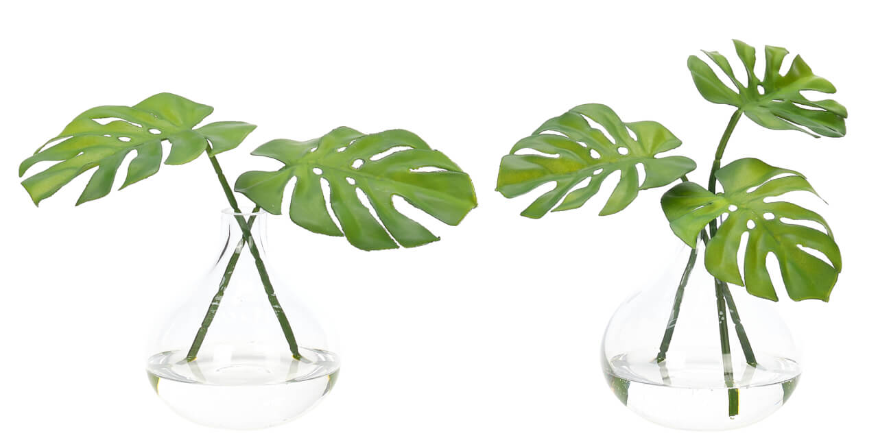 Selloum, Faux Watergarden