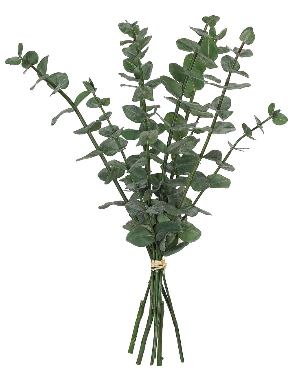 Eucalyptus, Drop In, Bouquet, Faux