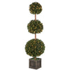 Potted Triple Ball Tree
