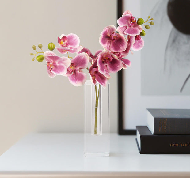 Deep Pink Phalaenopsis Orchid