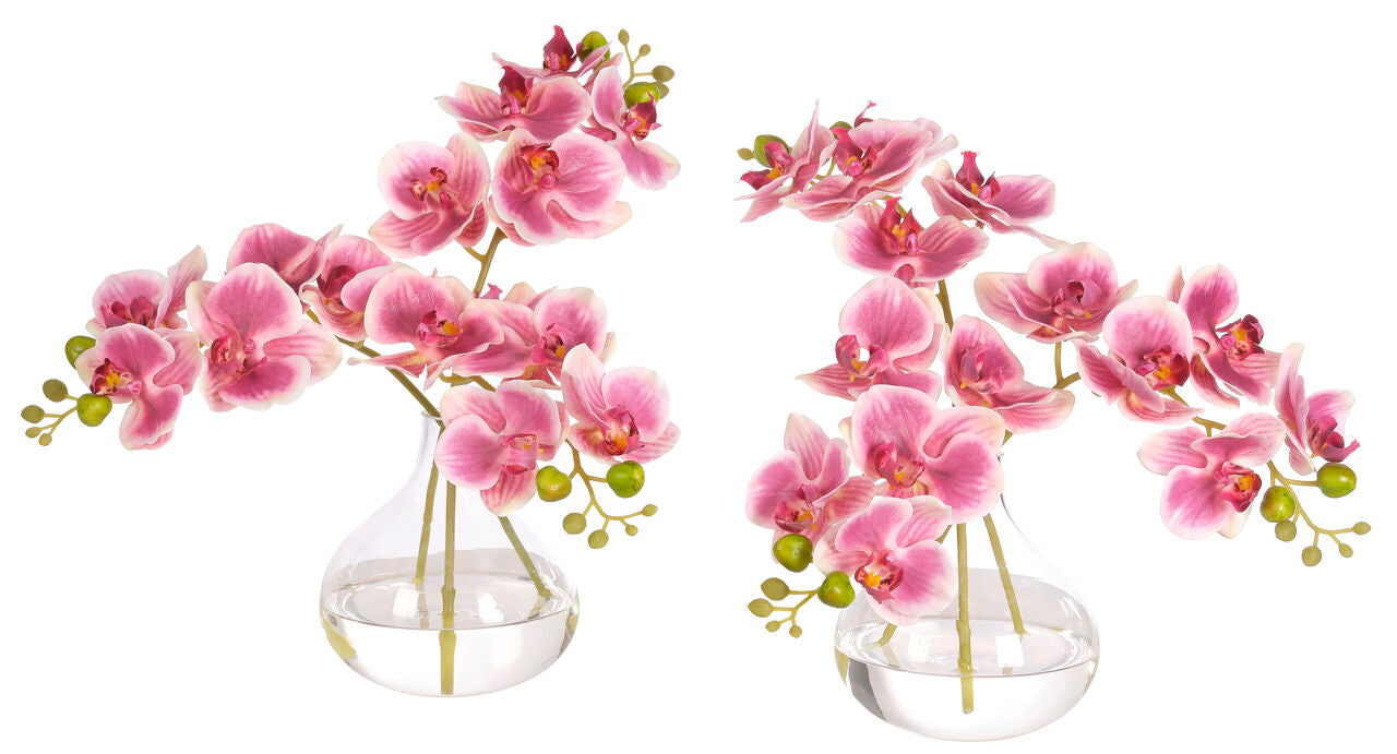 Orchid Phalaenopsis Silk Arrangement