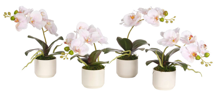 Pink Orchid Phalaenopsis Silk Arrangement