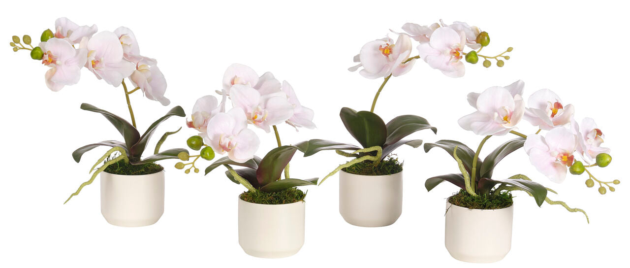 Pink Orchid Phalaenopsis Silk Arrangement