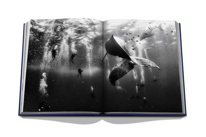 Ocean Wanderlust Book