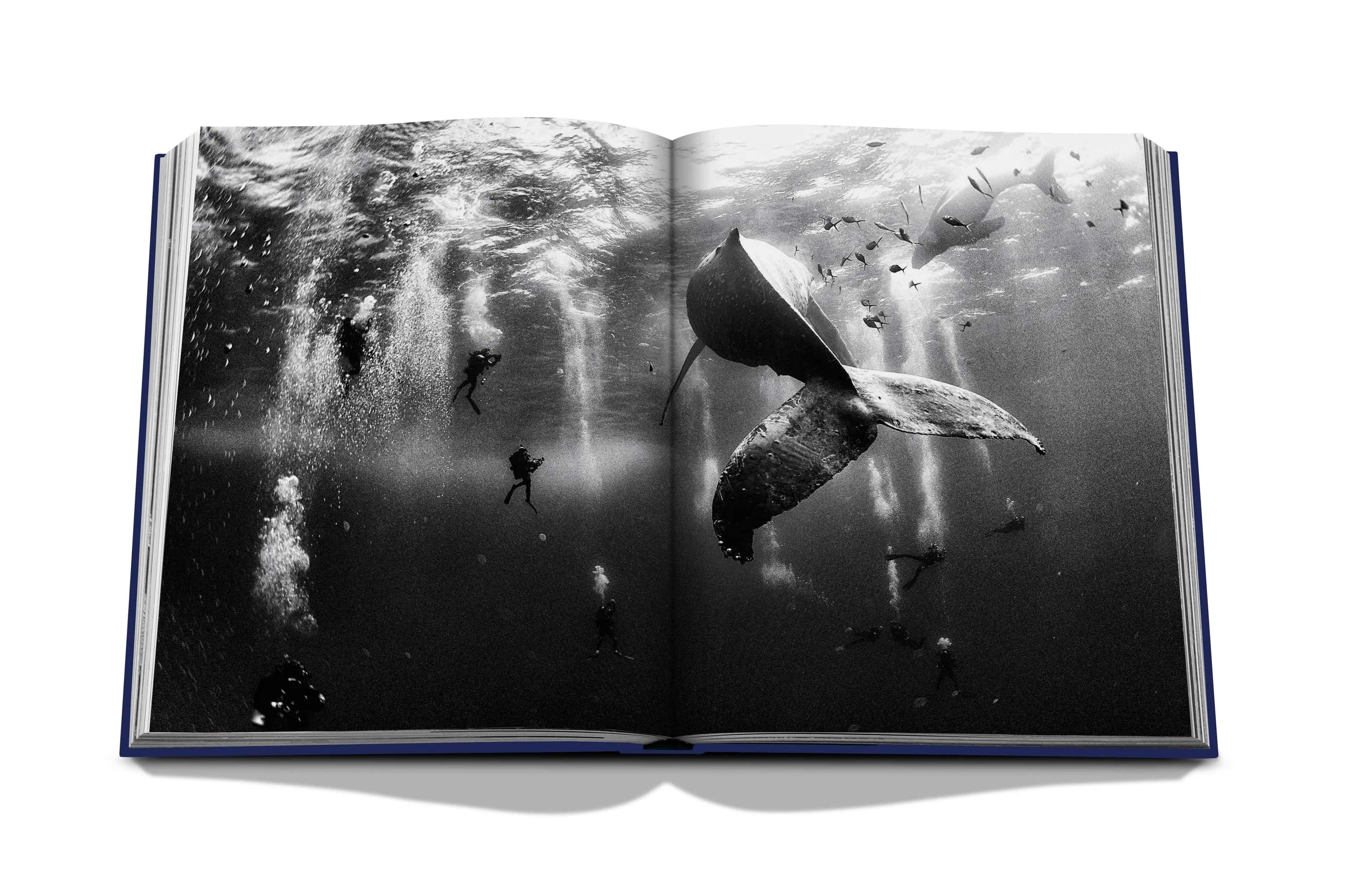 Ocean Wanderlust Book