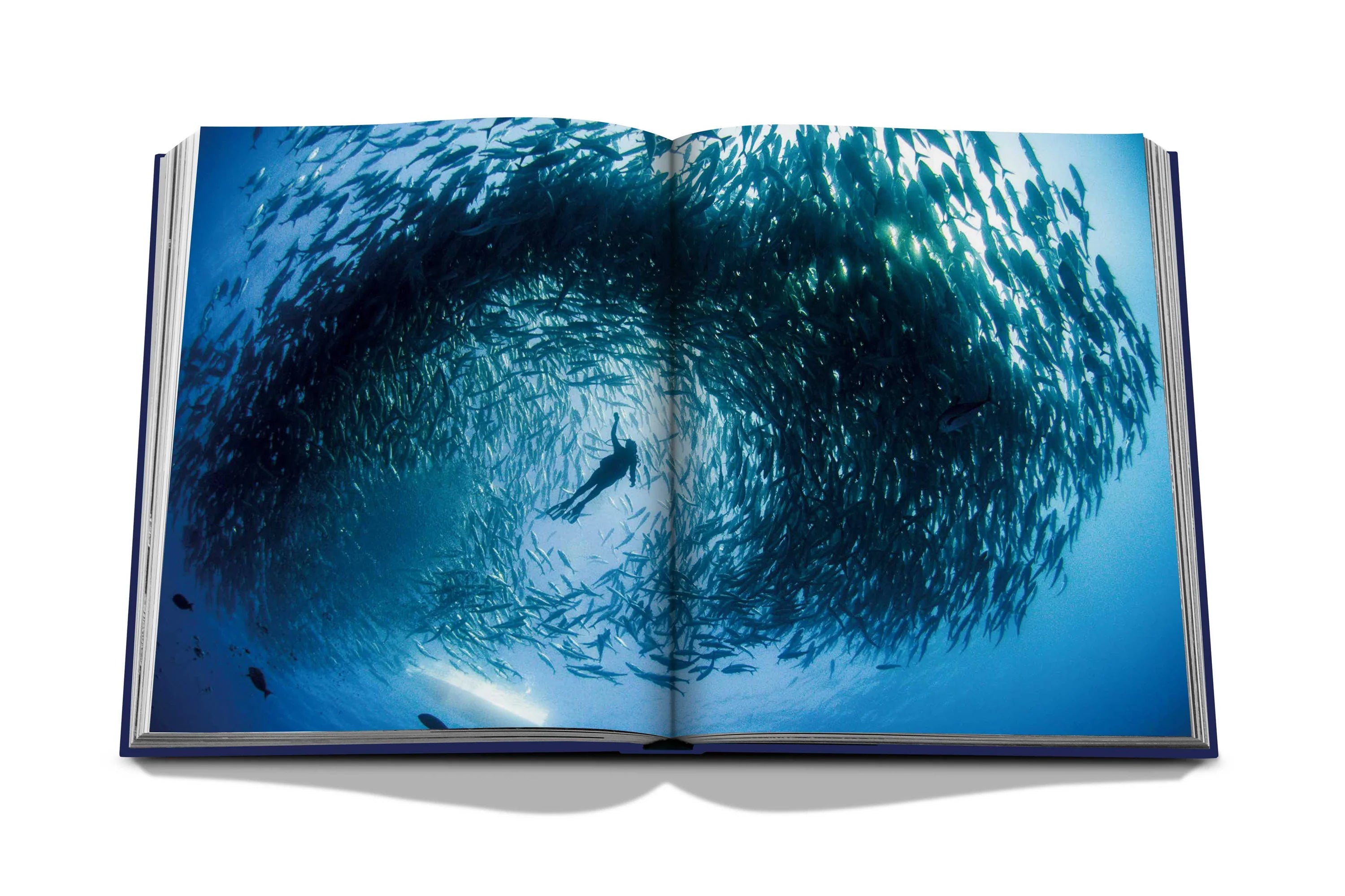Ocean Wanderlust Book