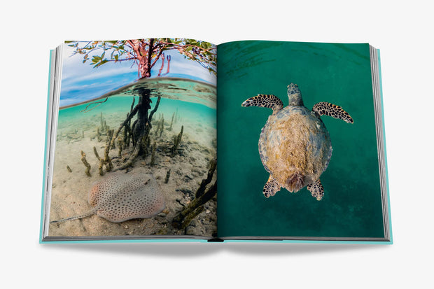 Saudi Arabia: Red Sea Book