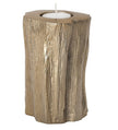 Woodland Golden Stump