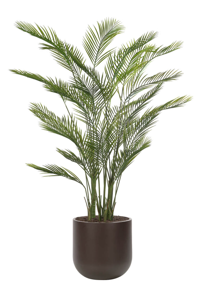 Areca Palm Tree, Faux Tree