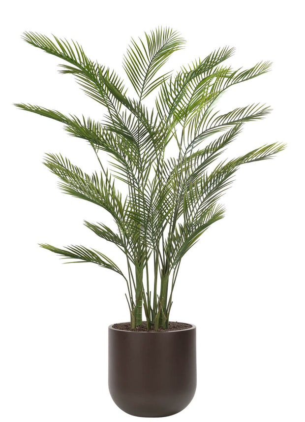 Areca Palm Tree, Faux Tree