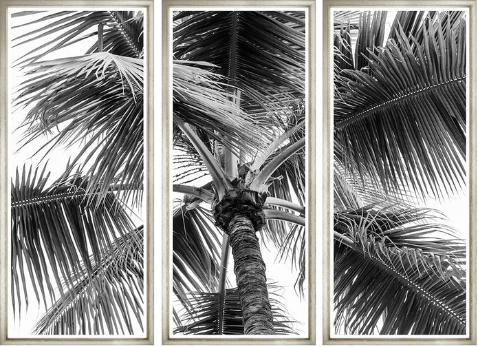 Black and White Palm Art