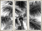 Black and White Palm Art