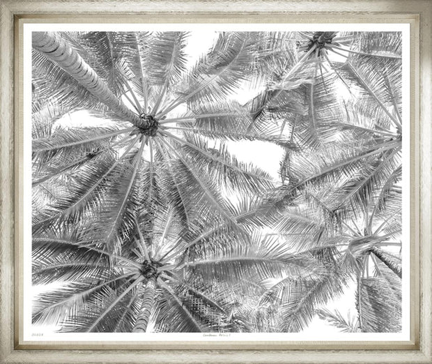 Caribbean Palms II