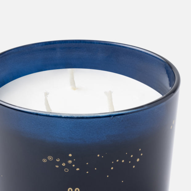 Coral Garden Candle 8oz