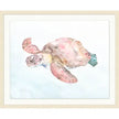 Blush Turtle 1