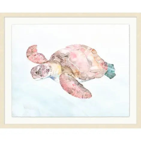 Blush Turtle 1