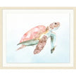 Blush Turtle 2