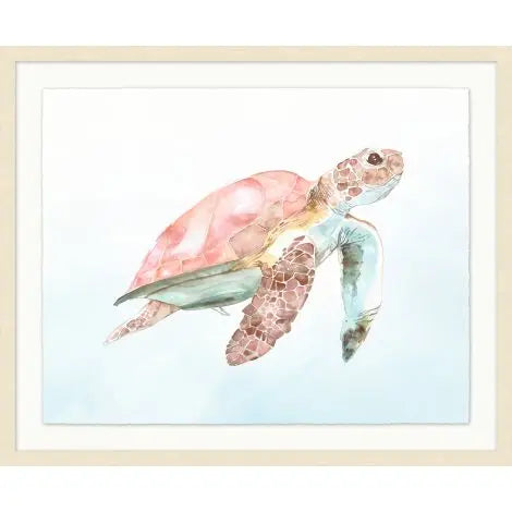 Blush Turtle 2
