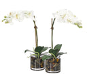 White Phalaenopsis Orchid Silk Arrangement in Glass
