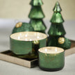 Siberian Fir Scented Candle Jar - Green