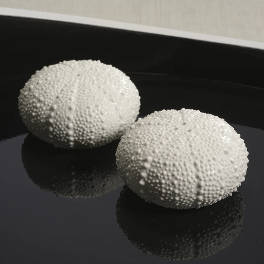 Sea Urchin Salt and Pepper Set