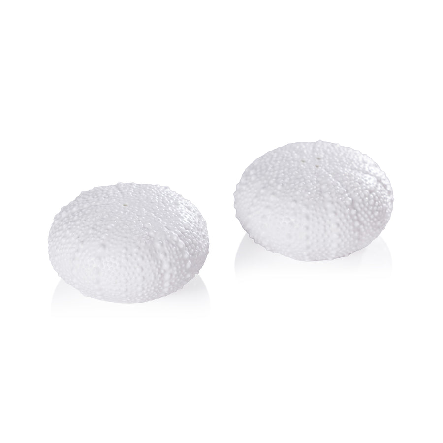 Sea Urchin Salt and Pepper Set
